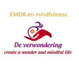 Voorkant EMDR CD